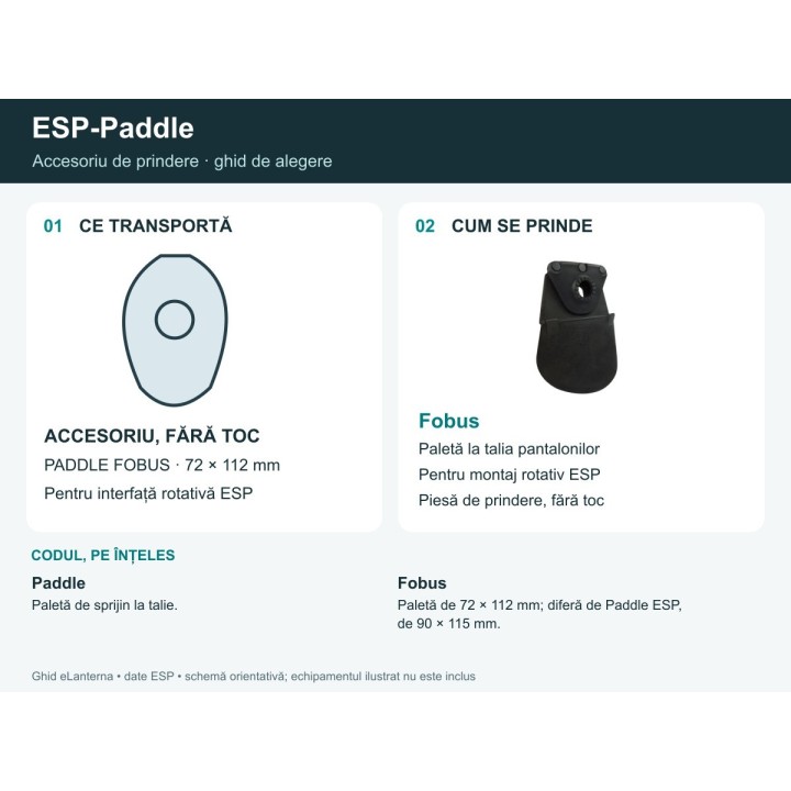 Ghid ESP-Paddle: echipament, prindere și cod explicat